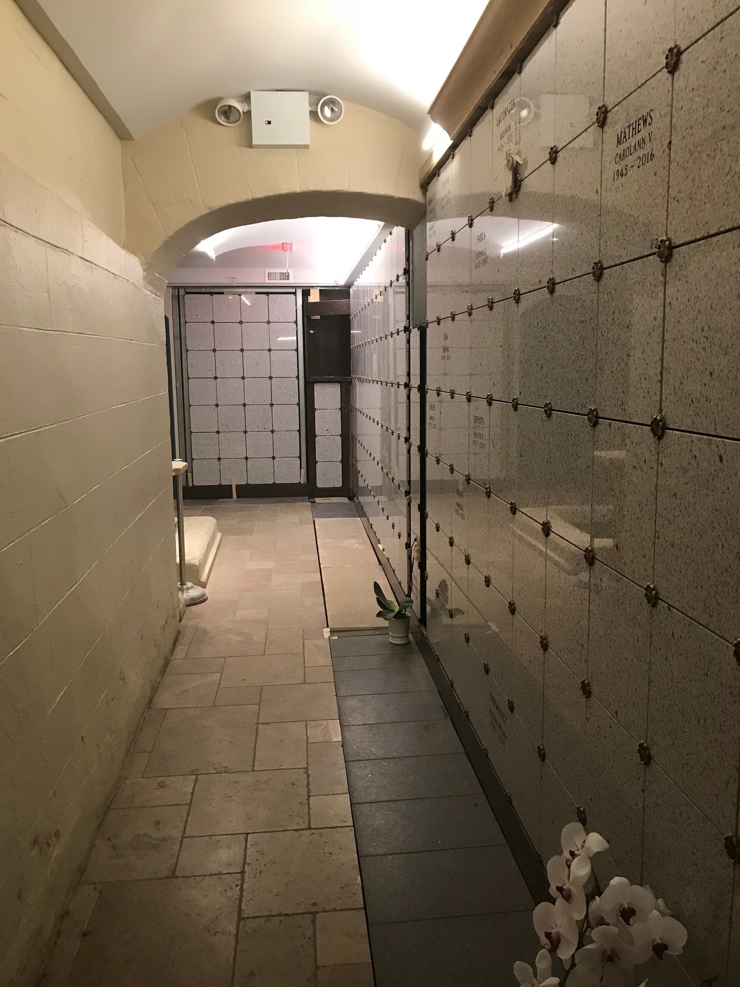 Basilica of Saint Patrick’s Old Cathedral Offers Sacred Options for ...