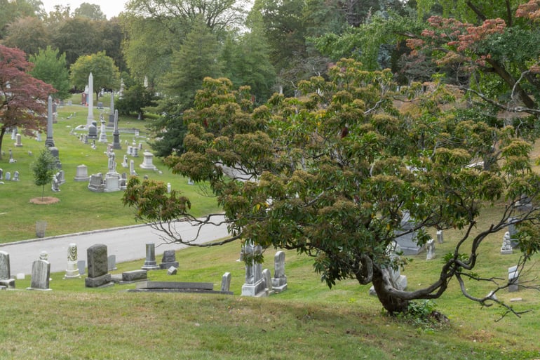 Green-Wood Cemetery - Rock - ROA - Brooklyn, NY (51 of 57)